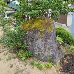 苔のある大きな庭石の画像