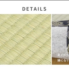 畳 マット ござ ラグ 敷物の画像