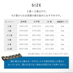 畳 マット ござ ラグ 敷物の画像