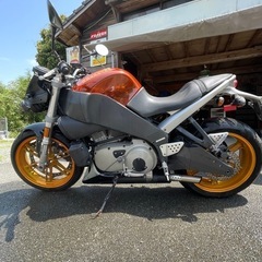 希少、絶版、ビューエルXB12S.ハーレーの画像