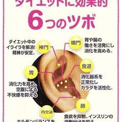 40代女性のダイエット成功体験談 - 地元のお店