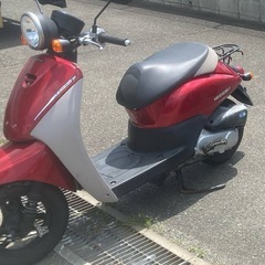 honda today 50cc