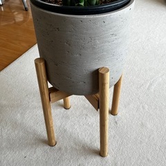 観葉植物スタンド