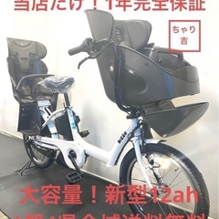 1年保証 送料無料　ブリヂストン　ビッケポーラー　20インチ 電...