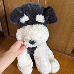 犬