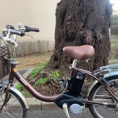 安心して旅行を楽しむ。（笑） の画像