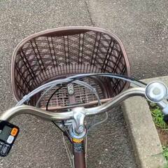 安心して旅行を楽しむ。（笑） の画像