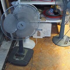 扇風機、1個単価です、の画像
