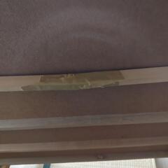 セミダブルベッドの画像