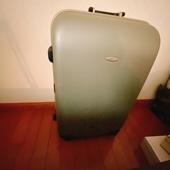 キャリーバッグLサイズ　