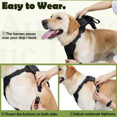 🌈600円より値下げnanashop  犬用ハーネス2 in 1, [オートロック] コントロールハンドル付き犬用胴輪, サイズ調整可能, 犬用首輪, 引っ張り防止 ソフト 通気性 ドッグ 訓練 歩行運動 散歩 しつけ用 中型犬 大型犬 柴犬 秋田犬 L

の画像