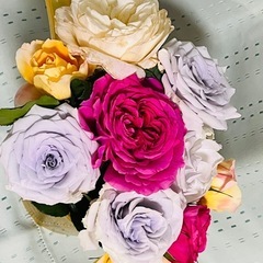 大鉢バラ苗 イヴ・ピアッチェの画像