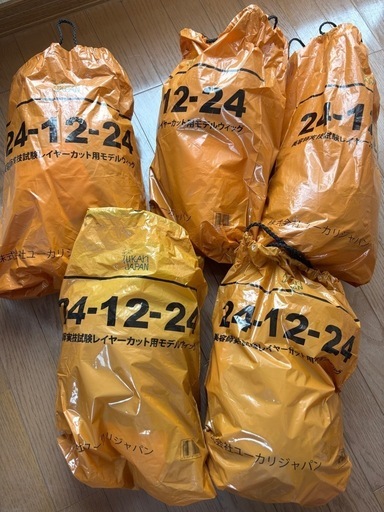 ユーカリジャパン【国家試験本番用】カットウィッグ×5