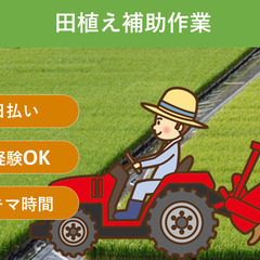 ＼日払い・1日OK！／稲作のトラクター運転手