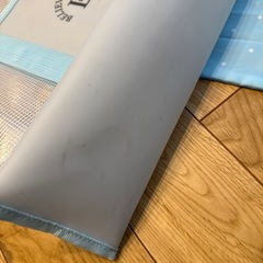 ラブトキシック　プールバッグの画像