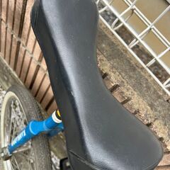Maruishi KANGAROO 丸石サイクル 一輪車 18インチ の画像