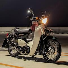 ホンダ　リトルカブ ローダウン 50cc 原付