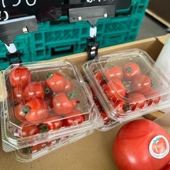 ミニトマト🍅パックトマト入荷しました✨