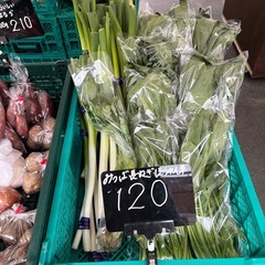 ほうれん草・長ネギ・三つ葉各¥120