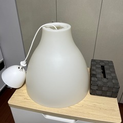 照明器具　電球付き　ランプシェード　