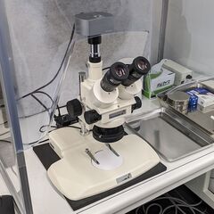 「伊東市」「正社員」「7時間勤務」「研究と生活のバランスを重視した環境」の画像