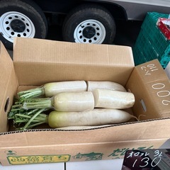【在庫ハーフ上2本】函館育ち2Lずっしり大根入荷しました✨