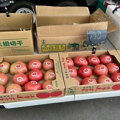 【在庫2箱】洞爺湖産🍅オロフレトマト3L