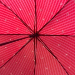 赤　リボン　雨傘　傘　76cmの画像