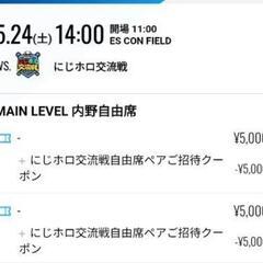 5月24日(土) エスコンフィールド  にじホロ交流戦 MAIN LEVEL 内野自由席 2枚 の画像