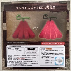 ウシウシの実 ルームライトの画像