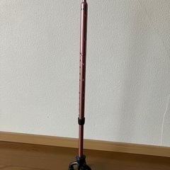 感謝‼️お譲り先決まりました❣️4点歩行杖（蝶々柄）の画像