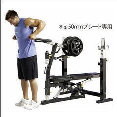 POWERTEC(パワーテック) ディップマシンアクセサリー W...