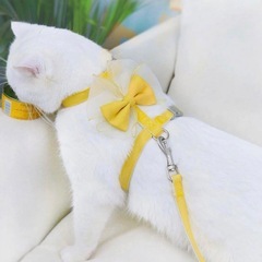 黄色リボン　ハーネス　Mサイズの画像