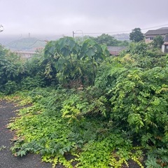 【見積無料】草刈り、剪定、伐採、抜根承ります