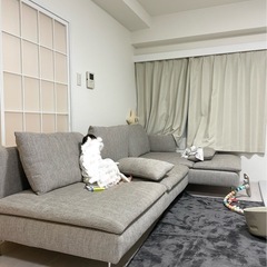 ソーデルハムン　ソファの画像