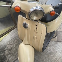 スズキヴルデ