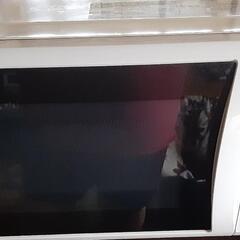 Panasonic 電子レンジ