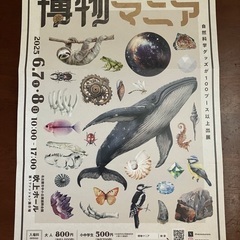 博物マニア　チケット　ペア　6月7日8日　吹上ホールの画像