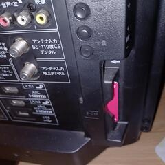 本日限定テレビの画像
