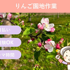 ＼日払い・1日OK！／未経験者大歓迎！りんごの園地作業