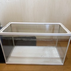 60cm水槽