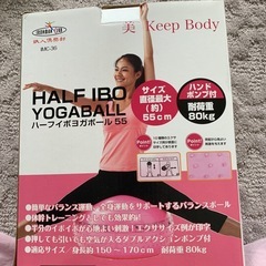 ハーフイボヨガボールの画像