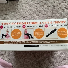 ハーフイボヨガボールの画像