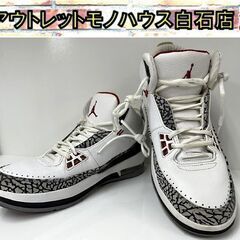 NIKE AIR JORDAN 2.5 TEAM 27.5cm ...
