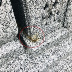 お墓を建てる前に必読！物置・香炉・納骨室に潜む“壊れやすい扉”の真実とは？01の画像