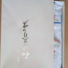 着物スリップパット付き　ｌサイズ　ワンピースタイプの画像