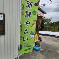 自家製野菜の無人販売　１５０円～の画像
