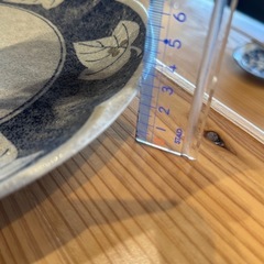 23cm食器　1枚の画像