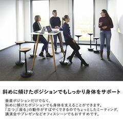 🪑【Wilkhahn Stitz スティッツ】バランススツール ✨ドイツデザイン×日本組立・美品の画像