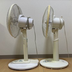 [5月25日に取りに来てくれる方限定!!]扇風機 2台セットの画像